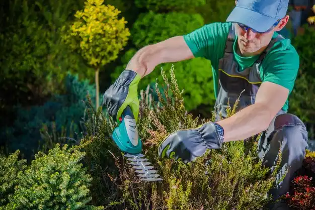 landscaping services Port Ewen